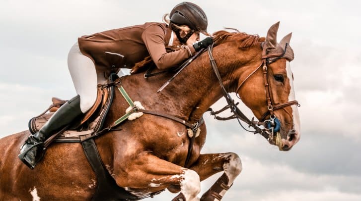 Is your horse suitable for bareback riding